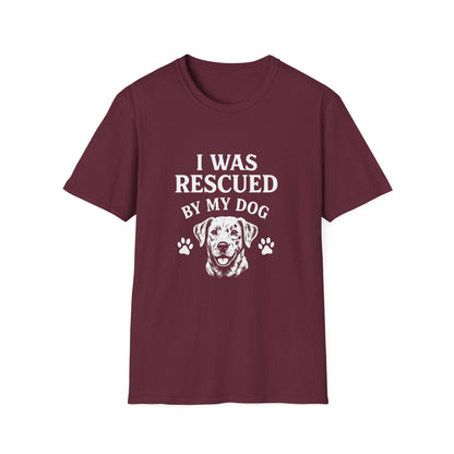 I Was Rescued by My Dog