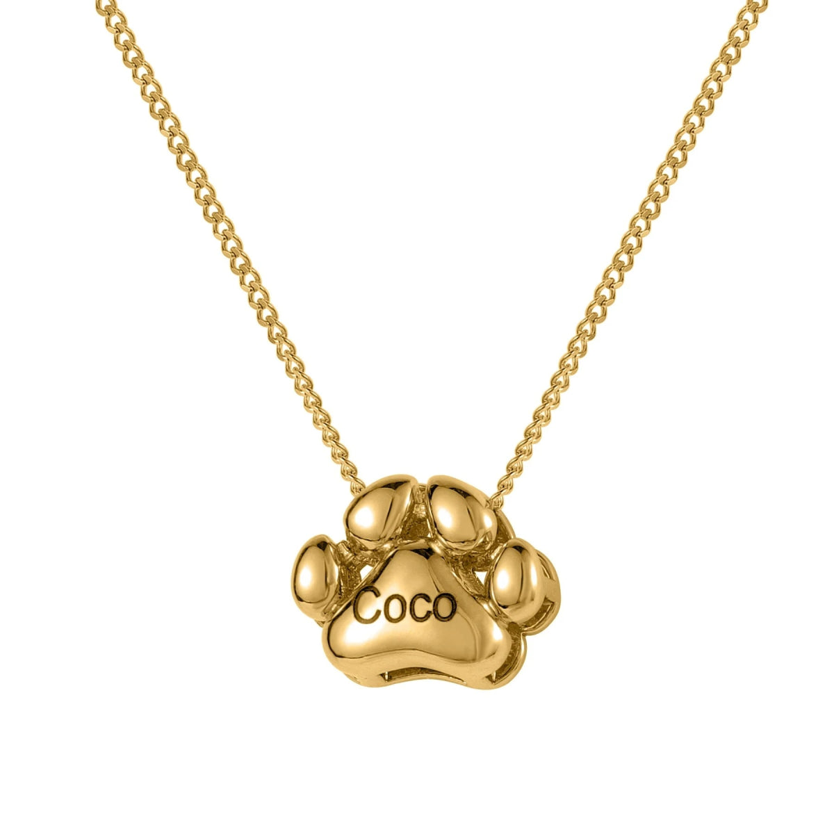 3D Dog Paw Necklace – Custom Engraved Pet Name Jewelry - MyFurHero